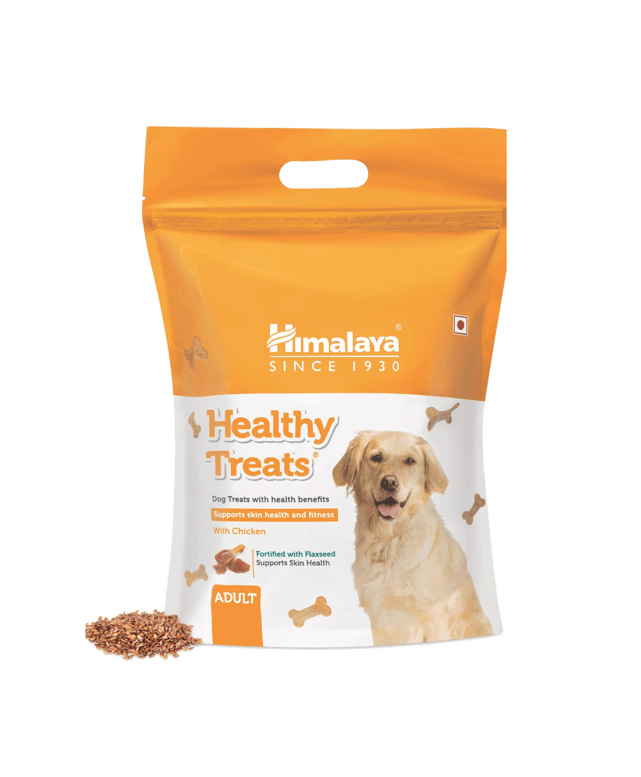 Healthy Treats