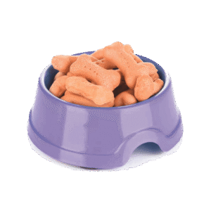 Pet Bowl