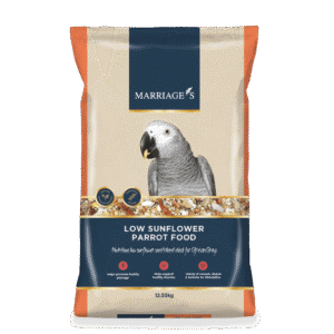 Low sunflower parrot food